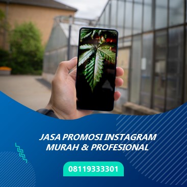 JASA ADMIN INSTAGRAM KABUPATEN MOJOKERTO