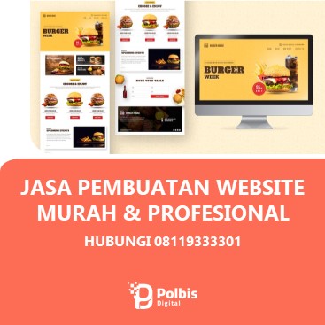 JASA PEMBUATAN WEBSITE MURAH PAPUA